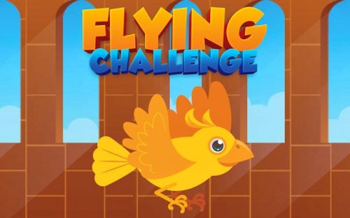 Flying Challenge: Bird Flight Adventure