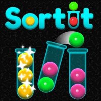 Color Sort Logic Puzzle