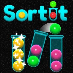 Sort It Puzzle Challenge
