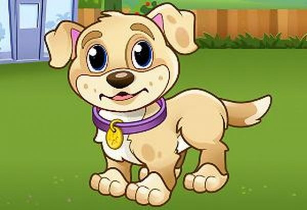 Puppy Care Play Day