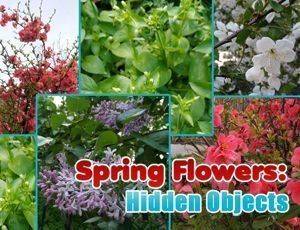 Spring Flowers Hidden Objects Online Puzzle Game