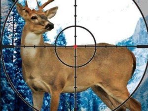 Wildlife Pathfinder: Stealth Tracking Sim