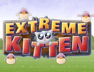 Kitten Explorer Casual Game