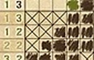 Grid Reveal Logic Puzzle