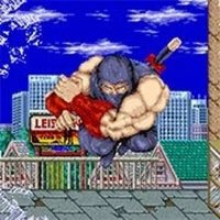 Shadow Warriors Retro Action Game