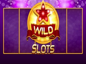 Wild Spin: Free Reels Puzzle