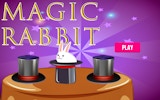 Magic Rabbit: Memory & Focus Game