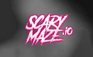 Maze Puzzle Arcade Challenge