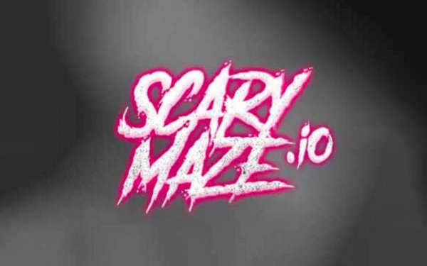 Maze Puzzle Arcade Challenge