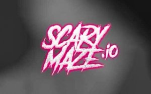 Maze Puzzle Arcade Challenge
