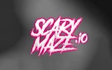 Maze Puzzle Arcade Challenge